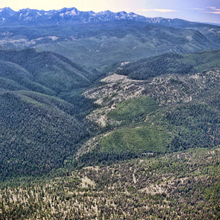 1960 Anthony fire area - 1992